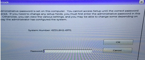 Dell 6FF1 Setup Unlock